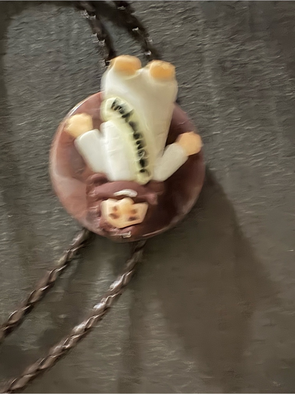 Brown and Cream Novelty Bolo Tie - Men's Accessory